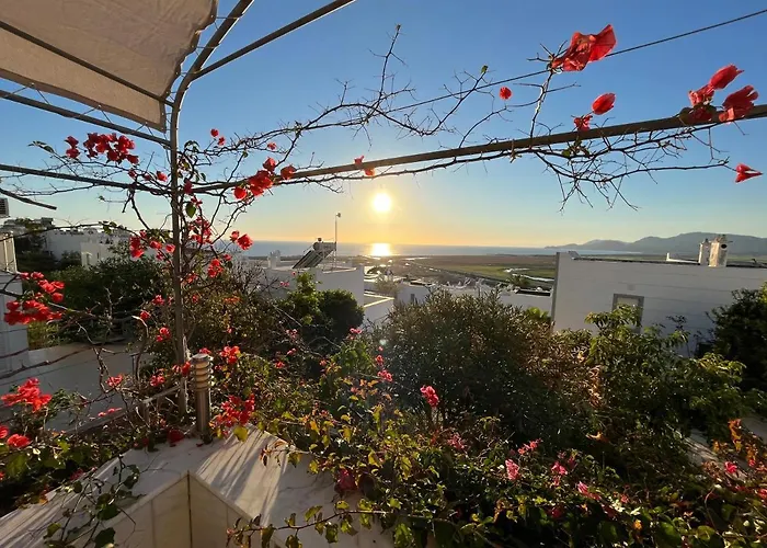 Villa Bella Vista - Near The Beach And Airport